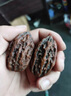 弘工文玩刷鋼絲刷核桃刷清理縫隙金剛菩提橄欖核手串打磨拋光包漿打底 曬單實(shí)拍圖