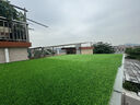 清雅仿真草坪隔音墊子假草皮屋頂陽臺隔熱防滴水聲空調(diào)外機(jī)雨棚假草坪 3cm加密款消音草(2米寬*10米長) 曬單實(shí)拍圖