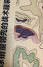 龍牙二代龍牙暗冰速干長袖襯衫通勤商務(wù)涼感通勤透氣吸濕速干四面彈力 極夜黑 L 180/100A （150-170斤） 曬單實(shí)拍圖