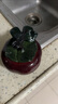 康樂品變色茶寵擺件精品可養(yǎng)創(chuàng)意個性可愛茶玩茶盤茶道茶具茶玩擺件 變色茶寵-柿柿如意【紅色】 曬單實拍圖