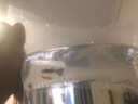 YEE魚缸過濾器上置過濾增氧三合一循環(huán)水泵滴流盒上濾盒外置小魚缸專 四盒/適合魚缸40-50cm 【送牛筋管+配件濾材】 曬單實(shí)拍圖