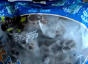 董二胖大連即食海參 鮮食刺參開袋即食 有機免洗滋補海鮮水產(chǎn) 5斤 40-50只（送鮑汁等大禮） 曬單實拍圖