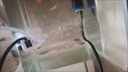 星舵魚(yú)缸過(guò)濾器循環(huán)水泵三合一小型魚(yú)缸過(guò)濾器靜音增氧泵過(guò)濾泵 五合一過(guò)濾器6W（適用魚(yú)缸30-40cm） 曬單實(shí)拍圖