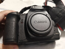 佳能（Canon）單反相機(jī) 機(jī)身 大小三元鏡頭 二手相機(jī) 顏色可參考質(zhì)檢報(bào)告 5D Mark IV（5D4）機(jī)身 曬單實(shí)拍圖