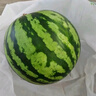 【產地直采】麒麟奶油西瓜 約4.5kg 曬單實拍圖