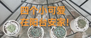 綠蔭巷子多肉植物組合套餐肉肉室內(nèi)植物辦公室電腦桌面盆栽好養(yǎng)活小盆栽 【昂斯諾】精養(yǎng)大顆 含瓷盆+托 曬單實(shí)拍圖