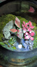 OIMG【青山】創(chuàng)意苔蘚微景觀擺件生態(tài)瓶辦公室桌面生態(tài)缸綠植造景盆景 【推薦】單景觀+定時(shí)植物燈 成品發(fā)貨 曬單實(shí)拍圖