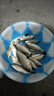 中逵酒米打窩米野釣鯽魚(yú)窩料冬季麝香中藥酒碎米老壇發(fā)酵細(xì)米魚(yú)餌 麝香（紅碎米） 曬單實(shí)拍圖