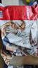 京東京造奧爾良雞翅中1kg 燒烤油炸雞翅膀冷凍半成品生鮮空氣炸鍋雞肉 曬單實(shí)拍圖
