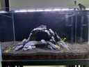 吉印刀鋒s魚(yú)缸燈led燈防水全光譜魚(yú)缸照明燈水草燈小型超白魚(yú)燈56cm 曬單實(shí)拍圖