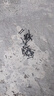 奧哥（aoge） 競技塑料鉛皮座不傷線尼龍大號(hào)散裝主線組繞主線小配件漁具釣魚 50枚-中號(hào) 曬單實(shí)拍圖