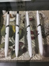 得力（deli）可愛熊貓速干按動中性筆 高顏值0.5mmST筆頭學(xué)生中性筆刷題筆 黑色4支/盒 SA603 曬單實拍圖