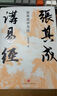 新華書店官方正版 張其成講易經(jīng) 一陰一陽之謂道：易傳精講 哲學智慧六十四卦三百八十四句爻辭將經(jīng)義中陰陽動靜得失吉兇與生活結合道德準則管理策略教育方法人生態(tài)度 張其成講易經(jīng) 曬單實拍圖