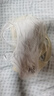愛莉兒&歐蘿拉2件兒童內(nèi)衣女童發(fā)育期少女小學(xué)生初中生女孩背心女大童白膚85A 曬單實拍圖