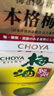 CHOYA【原瓶進(jìn)口】俏雅蝶矢紀(jì)州本格梅酒14度1000ML紙盒款/青梅酒果酒 曬單實(shí)拍圖