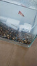 亞峰（yafeng）魚缸過(guò)濾器三合一凈水循環(huán)泵魚缸內(nèi)置過(guò)濾器過(guò)濾水泵小型增氧設(shè)備 6W 五合一 （20-30CM缸用） 曬單實(shí)拍圖