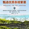 美好時(shí)光原味海苔150g(約150包)壽司海苔即食紫菜大罐 兒童休閑零食 曬單實(shí)拍圖