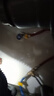 保聯(lián)304不銹鋼波紋管熱水器冷熱水管4分金屬防爆進(jìn)出水管家用隔熱水管 藍(lán)+紅【一體成型防爆防燙 】套裝 50cm 曬單實(shí)拍圖
