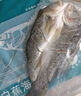 釣魚記開背海鱸魚1斤-1.3斤 三去凈重 冷凍 生鮮 魚類 海鮮水產(chǎn) 曬單實(shí)拍圖