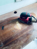 SKIL 老鼠型砂光7260小型多功能無塵拋光工具木工膩子打磨三角砂紙機(jī) 曬單實拍圖
