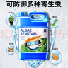 瘋狂水草魚缸除藻劑去苔劑青苔清除劑魚池除藻去苔劑魚塘改底改善水質(zhì)4.8L 曬單實拍圖