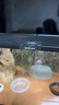 REPTIZOO爬蟲飼養(yǎng)箱爬寵蜥蜴守宮蛇烏龜玻璃爬缸倉鼠刺猬角蛙寄居蟹飼養(yǎng)盒 50x30x25cm-水陸兩用 亞成體選擇 曬單實拍圖