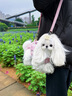 TAIGEPETS【可背 可提 可牽引】小香風狗包背包外出寵物小型犬便攜單肩貓包 粉色寵物包【可背 可提 可牽引】 S碼【建議5斤內狗7斤內貓】 曬單實拍圖