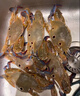 廣東南海三眼蟹鮮活冷凍三目蟹三點蟹海鮮梭子蟹黃膏蟹生腌水產(chǎn)品 一斤裝 中號【約6-8只/斤】 曬單實拍圖