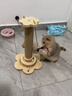 喆湘貓抓板耐磨不掉屑劍麻貓咪爪柱小貓玩具逗貓棒自嗨解悶貓爬架一體 【實(shí)木款 品質(zhì)】小號四合一貓抓柱 曬單實(shí)拍圖