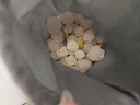 墨源大青鹽中藥材青海茶卡鹽湖天然大粒青鹽藥粗鹽用食熱敷理療包袋粉 1000克大粒鹽+熱敷袋1個(gè) 曬單實(shí)拍圖