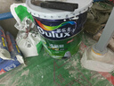 多樂(lè)士（Dulux）清新居抗甲醛五合一A8158凈醛竹炭耐擦洗5合1內(nèi)墻面漆18L【白漆】 曬單實(shí)拍圖