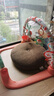 費(fèi)雪（Fisher-Price）新生兒見面禮玩具生日禮物-腳踏鋼琴健身架（薄荷綠）GDL83 曬單實(shí)拍圖