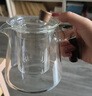 泥也泡茶壺玻璃茶具泡茶器全套茶水分離壺泡茶壺一人專用綠茶透明茶壺 曬單實(shí)拍圖