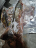 密水農家水庫魚(yú) 新鮮草魚(yú) 當日捕撈鮮魚(yú) 現殺現發(fā)生鮮魚(yú)類(lèi)生態(tài)魚(yú) 草魚(yú)2斤 曬單實(shí)拍圖
