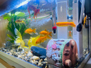森森 超白玻璃小魚缸HRK-500套缸款(長50cm)熱彎玻璃+過濾器+水草燈 曬單實拍圖