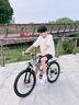 飛鴿青少年自行車6-12-18歲男女學(xué)生中大兒童輕便山地車銀24寸變速輻 曬單實拍圖