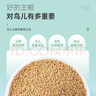 喜帥帶殼黃谷子2kg（新糧）鸚鵡糧食帶殼小米飼料鳥食虎皮玄鳳牡丹糧 曬單實(shí)拍圖