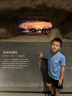 361°童裝 兒童套裝25夏男女童彈力透氣速干運動針?biāo)筇籽b 藍(lán)140 曬單實拍圖