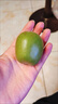 佳沛（zespri）新西蘭  陽光金奇異果6粒裝 單果約77-103g  源頭直發(fā)  獼猴桃 曬單實拍圖