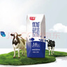光明優(yōu)加純牛奶200ml*24盒鉆石裝3.6g原生乳蛋白營養(yǎng)早餐奶家庭分享裝 曬單實(shí)拍圖