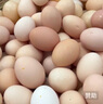 黃天鵝可生食雞蛋 30枚L級大蛋/3.6斤禮盒裝 生鮮雞蛋京東自營 無抗生素 曬單實拍圖