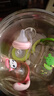 樂兒寶(bobo) 奶瓶寬口徑PPSU材質(zhì)奶瓶嬰兒蘑菇奶瓶帶吸管手柄 260ml綠色/6-9個月 曬單實拍圖