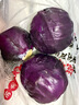 京鮮生山東新鮮紫甘藍(lán)凈重4.5斤 新鮮蔬菜 單果350g+沙拉蔬菜 源頭直發(fā) 曬單實拍圖