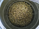 吾谷為伴綠豆 2斤 綠豆湯 可發(fā)豆芽 打豆?jié){ 東北雜糧 真空包裝 大米伴侶 曬單實(shí)拍圖