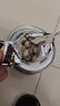 云南白藥旗艦店蓮子250g/瓶 去芯磨皮白蓮子銀耳羹配料煮粥煲湯養(yǎng)生禮品 曬單實拍圖