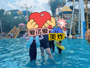 李寧LI-NING泳褲雙層防尷尬五分游泳褲607/3961基礎(chǔ)五分黑色 XL 曬單實(shí)拍圖