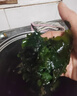 胖東來(lái)品質(zhì)干裙帶菜干貨兒童裙帶菜干燥海帶幼苗寶寶孕婦海藻嫩芽 50g [出口級]裙帶菜100g*2袋 曬單實(shí)拍圖