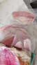 鮮京采 無(wú)抗鯛魚(yú)/羅非魚(yú)排800g/6-8片無(wú)保水魚(yú)片 低脂輕食 燒烤火鍋食材 曬單實(shí)拍圖