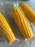 佳農(nóng) 內(nèi)蒙黃糯玉米棒8袋*220g 軟糯香甜 真空鎖鮮 源頭直發(fā) 禮盒包郵 曬單實(shí)拍圖