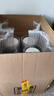 寶貝與我（Arla）阿拉Arla寶貝與我有機A2嬰幼兒奶粉600g 白金版 丹麥原罐進口 3段 600g 1罐 （效期26年7月） 曬單實拍圖